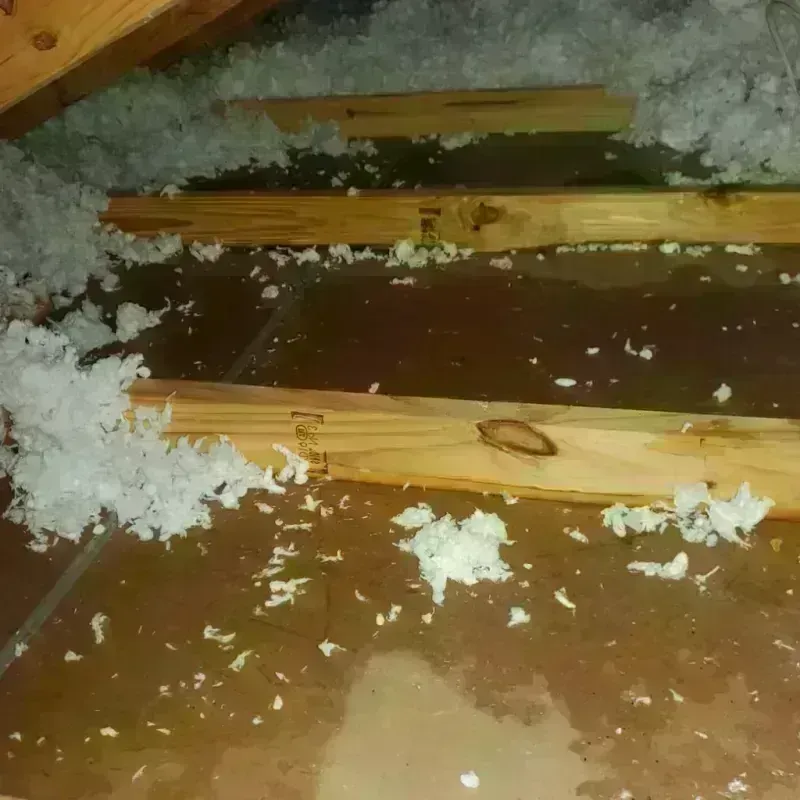 Attic Water Damage in Grandview, TX