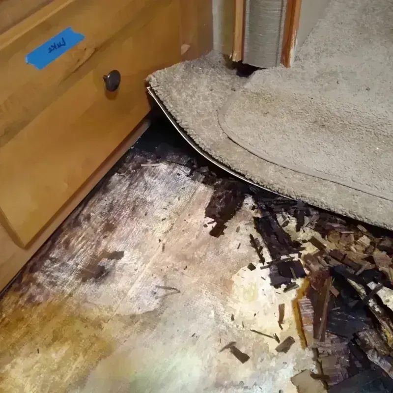 Wood Floor Water Damage in Grandview, TX